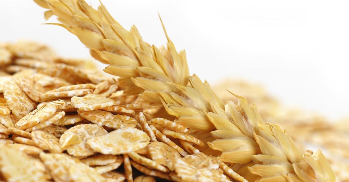 Glutenfreie und laktosefreie Sporternährung Glutenfreie und laktosefreie Sporternährung